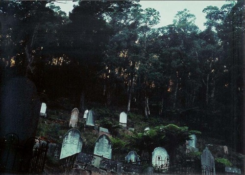 cemetery, dark and goth aesthetics