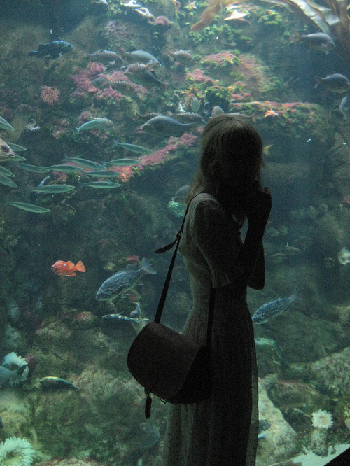 aquarium, dress, fashion, fish, girl, hipster