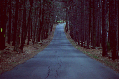 beautiful, dark, depressing, forest, nature, path