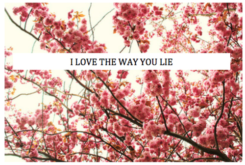 blossoms, flowers and lie