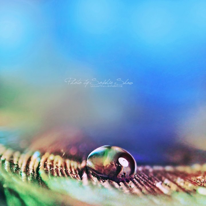 bokeh, color and drop