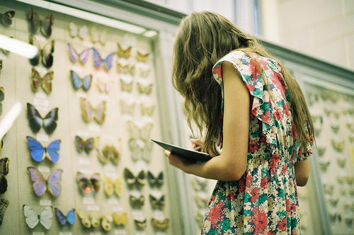butterflies, girl and hair