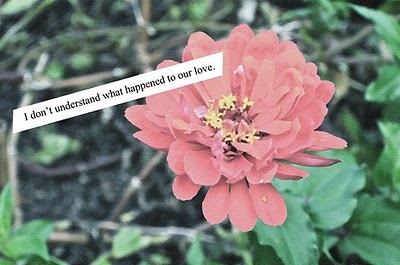 flower,  love and  quote