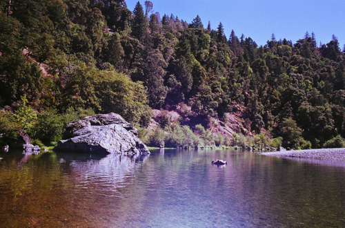 lake, nature and photography