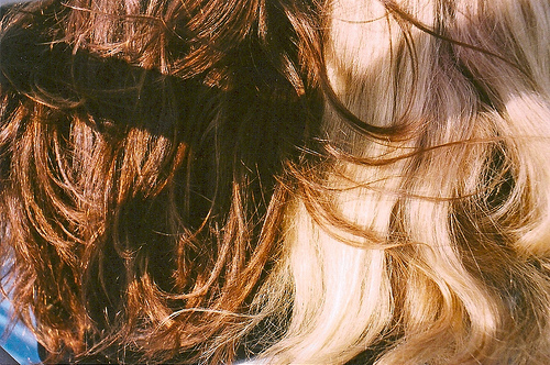 beautiful, blair, blonde, brunette, contrast, cute