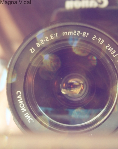 beautiful, bokeh and camera