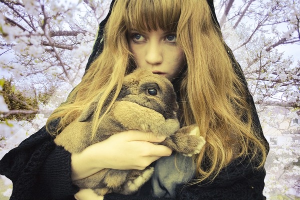 cape, cherry tree, fashion, fierce, hood, mrswolf