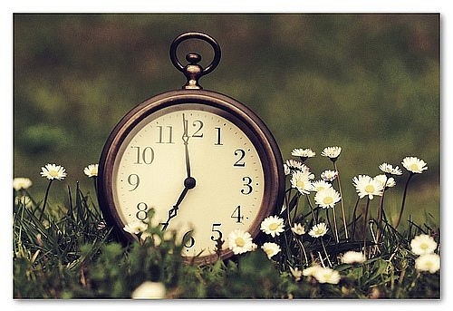 clock, flowers and seven