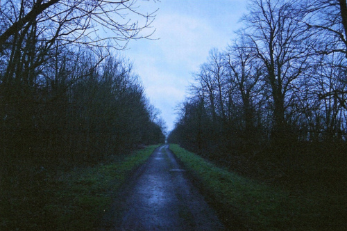 dark, nature and road