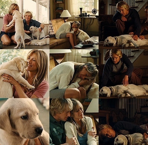 dog, jennifer aniston and love