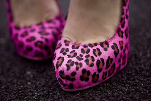 heels, leopard heels and leopard print