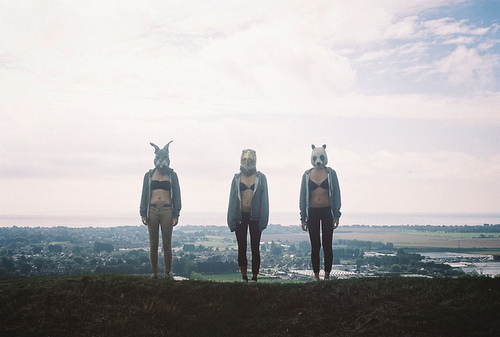 Animals In City