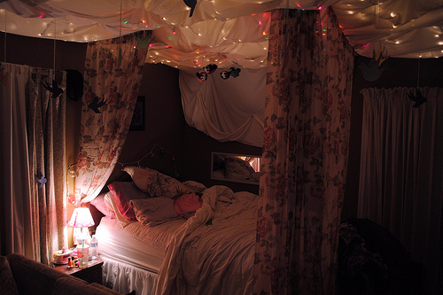 bed, bedroom and canopy