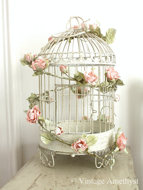 bird, birdcage and cage