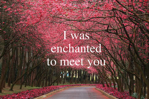 enchanted, flowers and pink