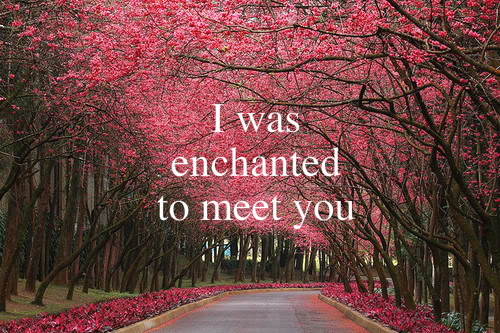 enchanted, photo and pretty