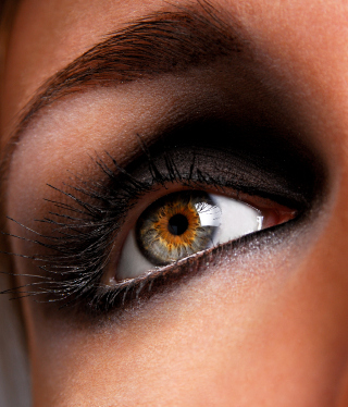 eye, eyebrow and eyelashes