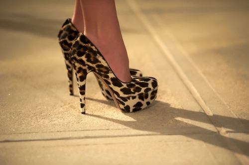 animal, fashion and heels