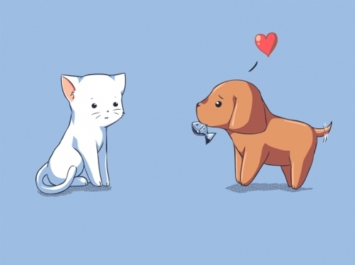 cat, cute and dog