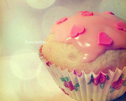 Muffin Cute