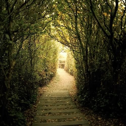 dream, dreamy, escape, green, nature, path