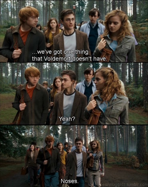 fun, harry and harry potter
