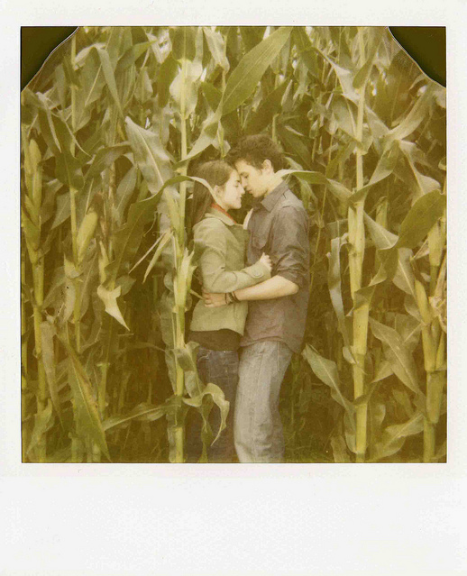 boy, close and corn