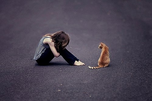 cat, girl and lonely