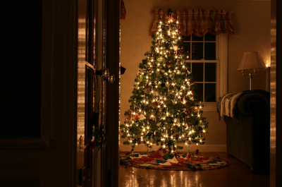 christmas,  christmas tree and  home