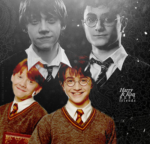 cute, harry and harry potter