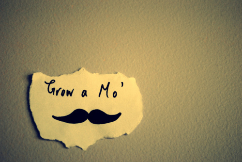 grow a moustache, moustache and photography