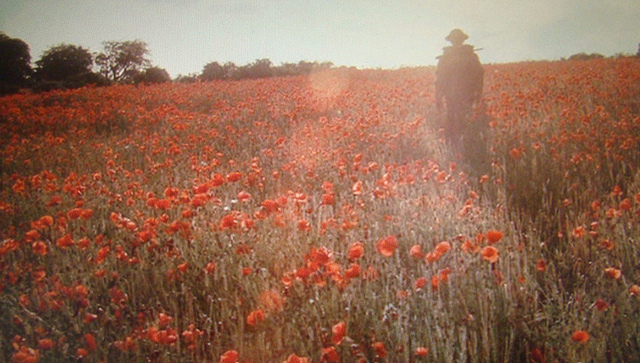 atonement, poppies and robbie
