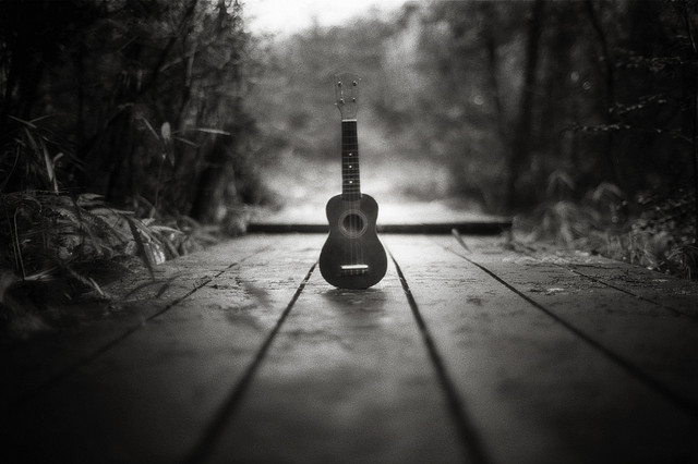bamboo, black and guitar