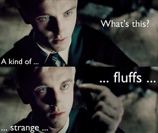 draco malfoy,  fluffs and  funny