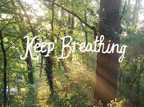 keep breathing, nature and quote