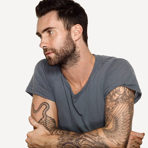 adam levine, boy and hot