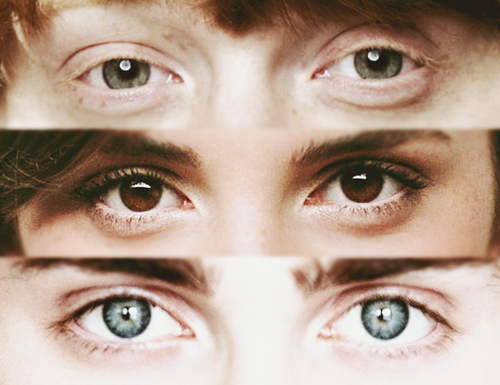 amazing, brown and daniel radclife