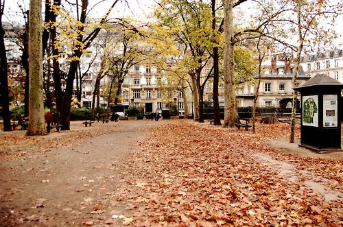 autumn, beautiful and jardin du luxembourg