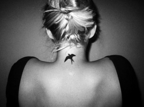bird, black and white and girl
