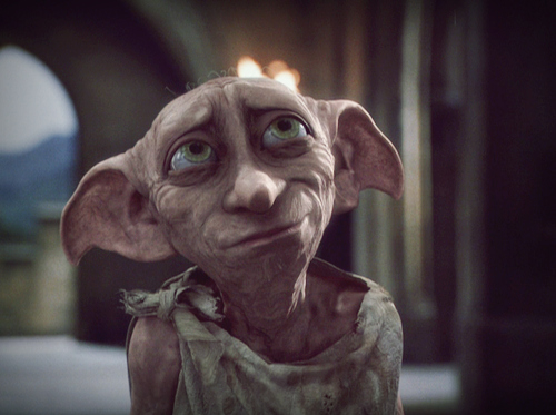 cute, dobby and eterno