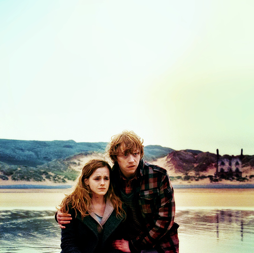 cute, harry potter and hermione