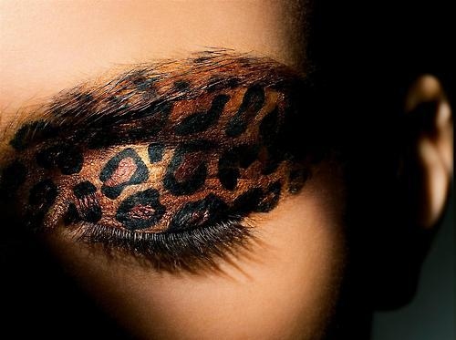 eye, lashes and leopard