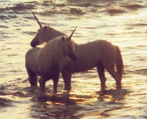 Friendship And Love Images. friendship, horn, love, ocean,