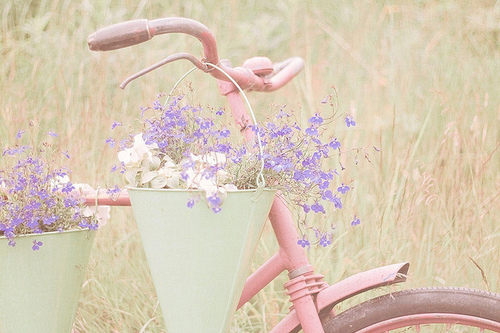 bike, cute and flowers
