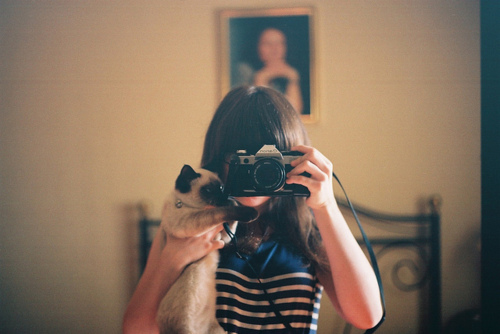 camera, cat and girl