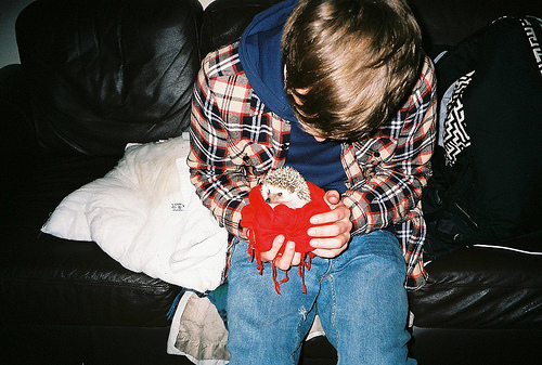 boy, cute and hedgehog