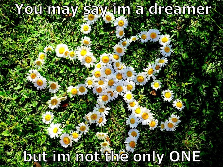 believe, daisies and dreamer