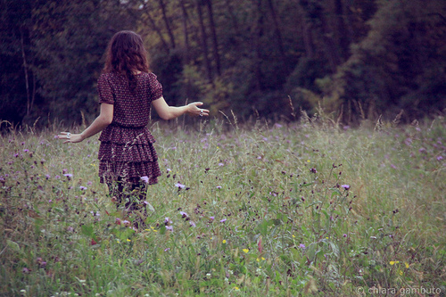 brunette, dress, flowers, girl, nature, photograph