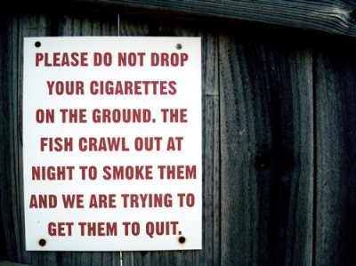 cigarettes, fish, funny, joke, sign, smoke - inspiring picture on ...