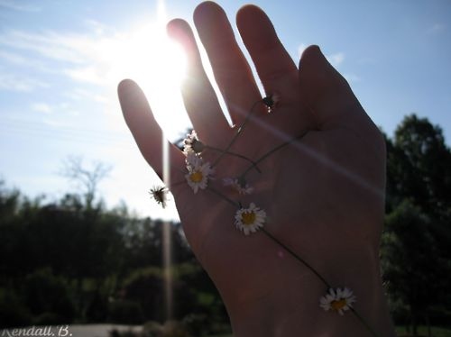 daisy, daisy chain and girl